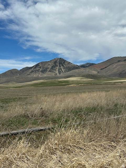 1 Joe's Gap Rd - Photo 1