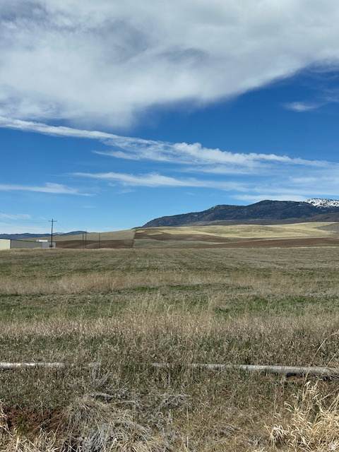 https://bt-photos.global.ssl.fastly.net/wasatch/orig_boomver_1_2146624-1.jpg