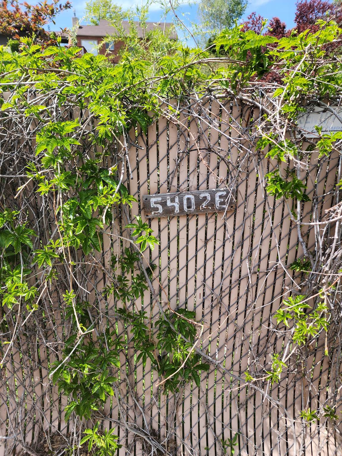https://bt-photos.global.ssl.fastly.net/wasatch/orig_boomver_1_2146920-1.jpg