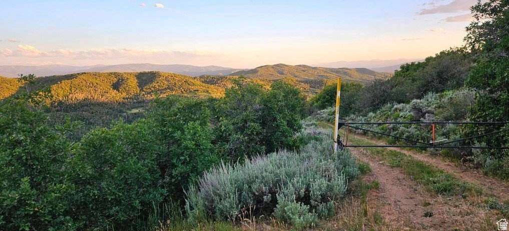 12602 Skyline Rd - Photo 1