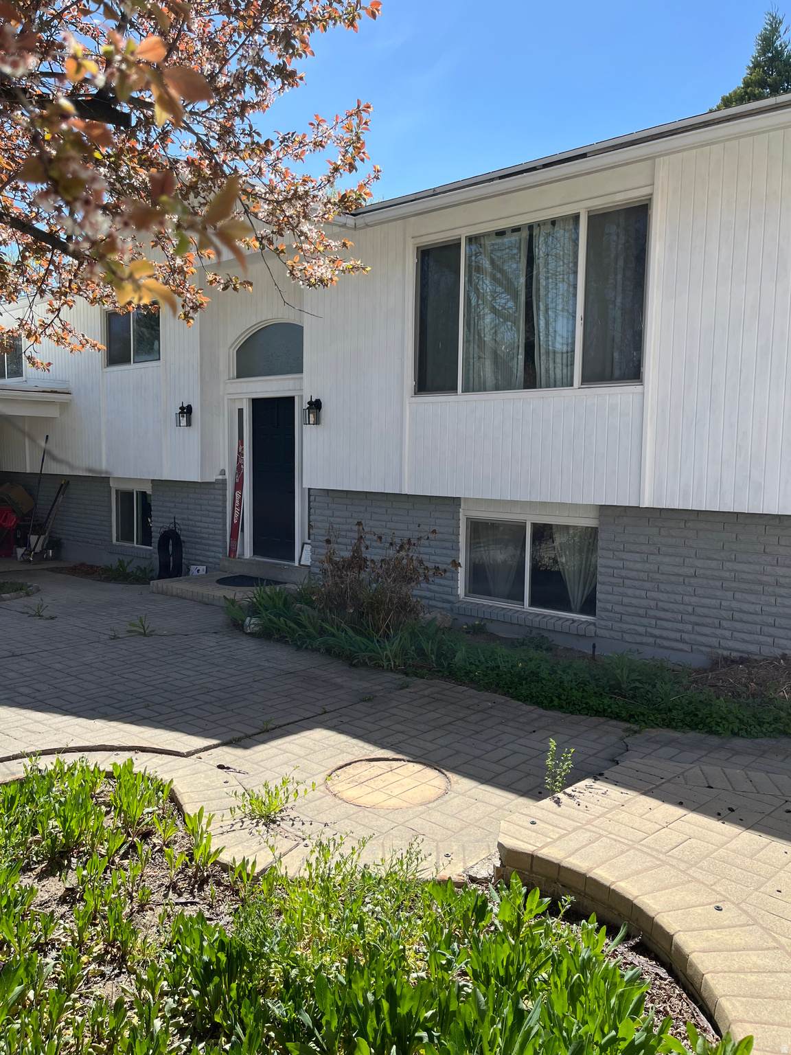 4620 Namba Way - Photo 1