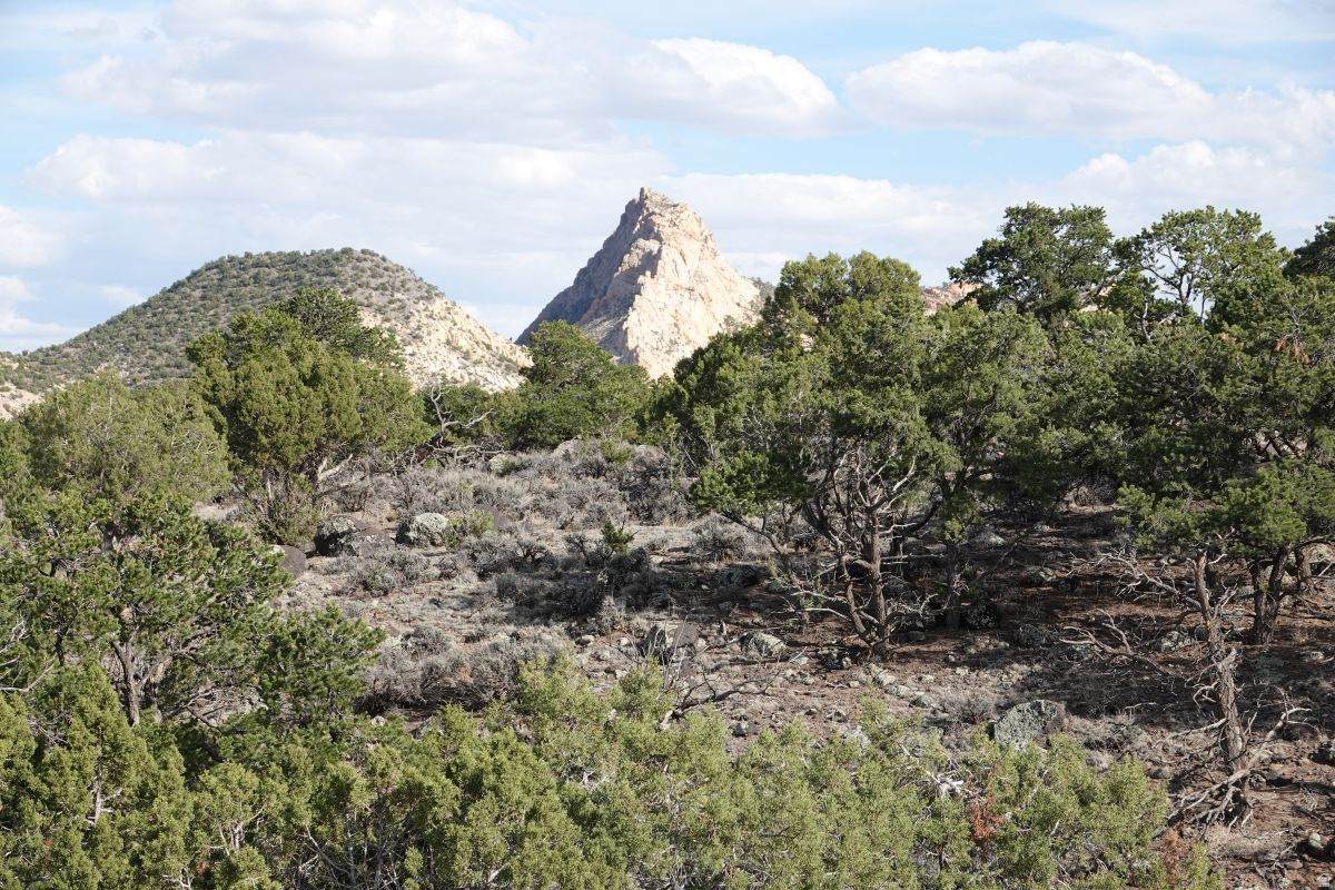 https://bt-photos.global.ssl.fastly.net/wasatch/orig_boomver_1_2147510-1.jpg
