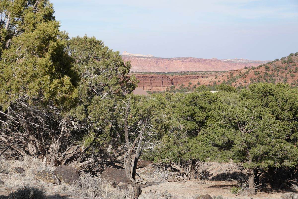 https://bt-photos.global.ssl.fastly.net/wasatch/orig_boomver_1_2147510-1.jpg