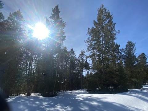 https://bt-photos.global.ssl.fastly.net/wasatch/orig_boomver_1_2148305-1.jpg