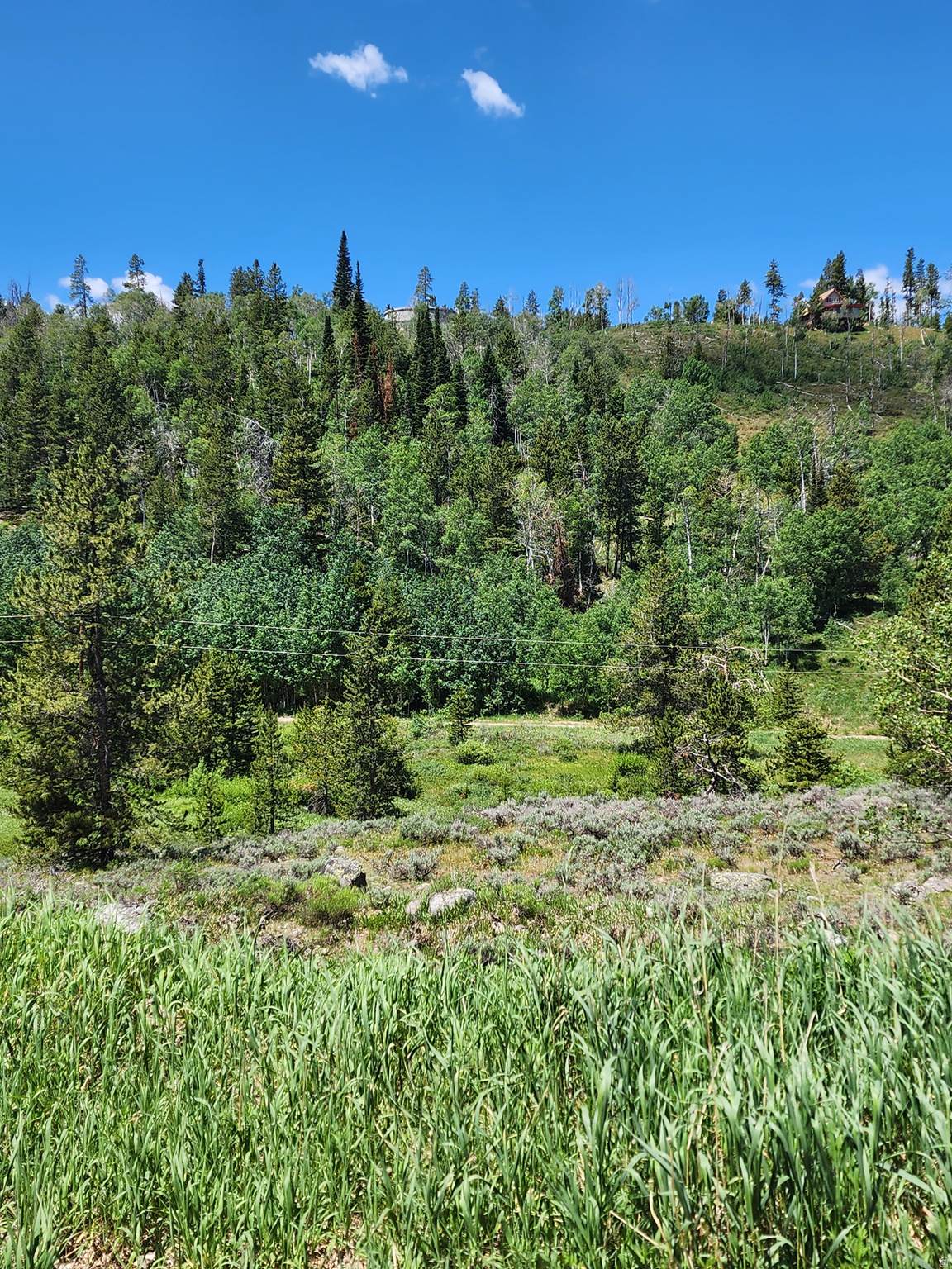 https://bt-photos.global.ssl.fastly.net/wasatch/1280_boomver_1_2149159-1.jpg