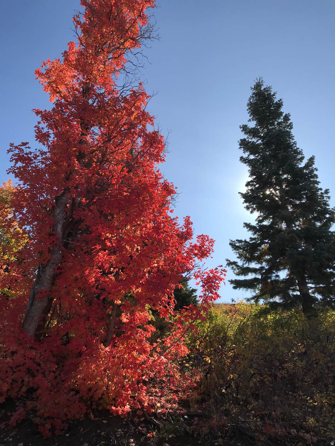 https://bt-photos.global.ssl.fastly.net/wasatch/orig_boomver_1_2149666-1.jpg