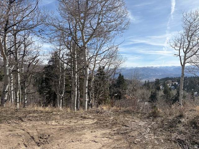 https://bt-photos.global.ssl.fastly.net/wasatch/1280_boomver_1_2149753-1.jpg