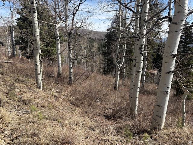 https://bt-photos.global.ssl.fastly.net/wasatch/1280_boomver_1_2149753-1.jpg