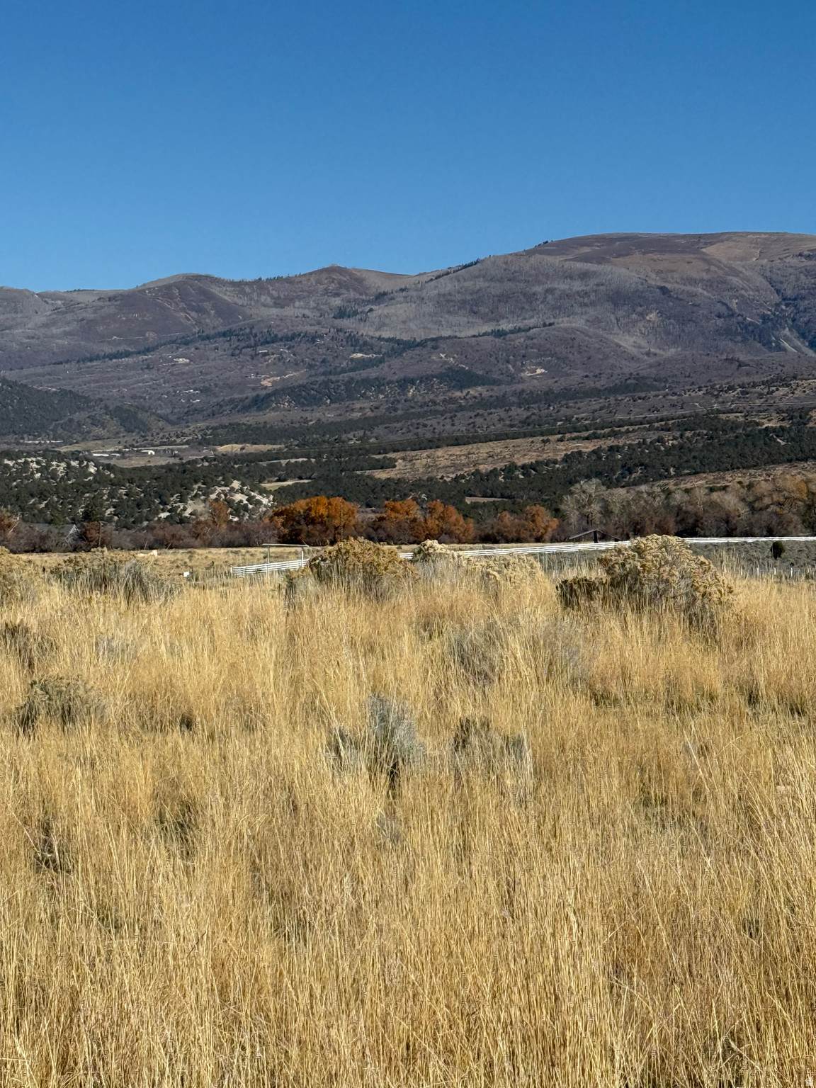 https://bt-photos.global.ssl.fastly.net/wasatch/orig_boomver_1_2150108-1.jpg