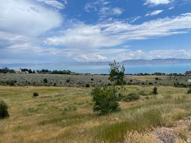 2930 Elk Hollow Dr - Photo 1
