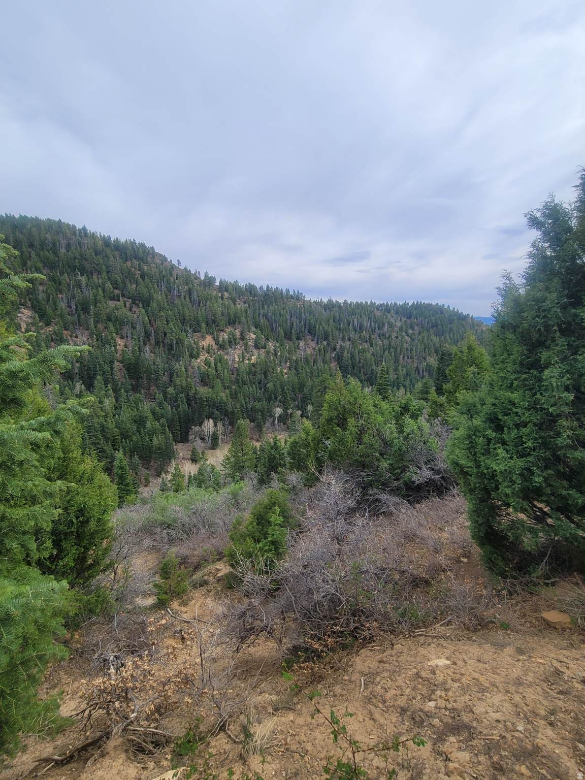 https://bt-photos.global.ssl.fastly.net/wasatch/orig_boomver_1_2150749-1.jpg