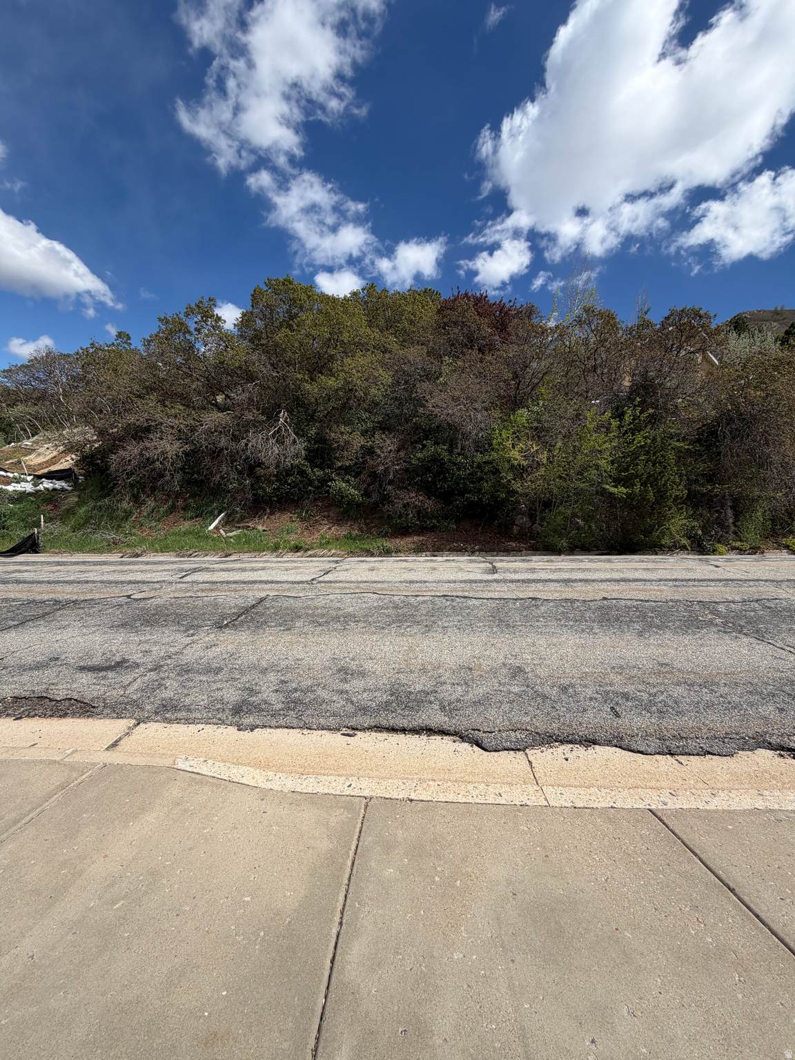 4184 Bona Villa Dr - Photo 1