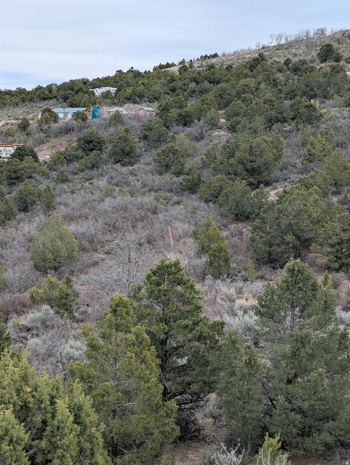 https://bt-photos.global.ssl.fastly.net/wasatch/orig_boomver_1_2151361-1.jpg