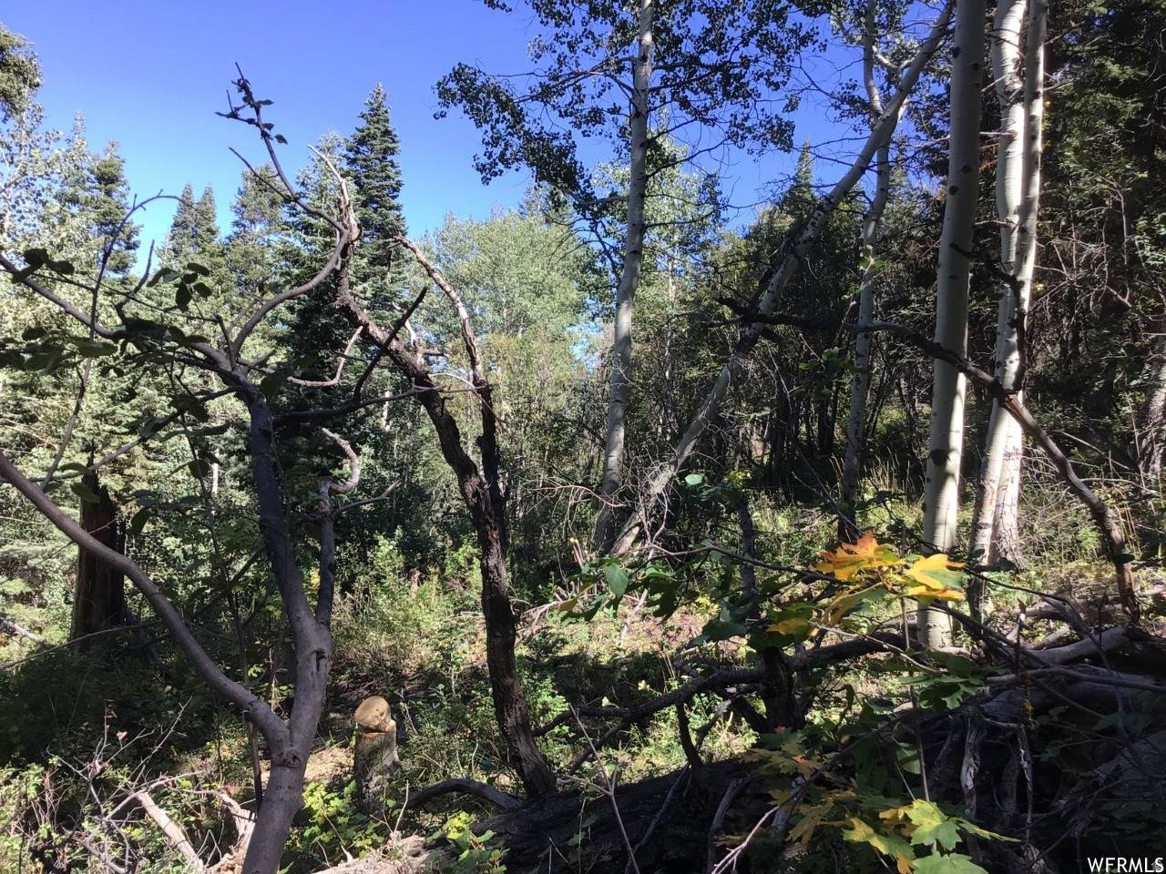 https://bt-photos.global.ssl.fastly.net/wasatch/orig_boomver_1_2155900-1.jpg