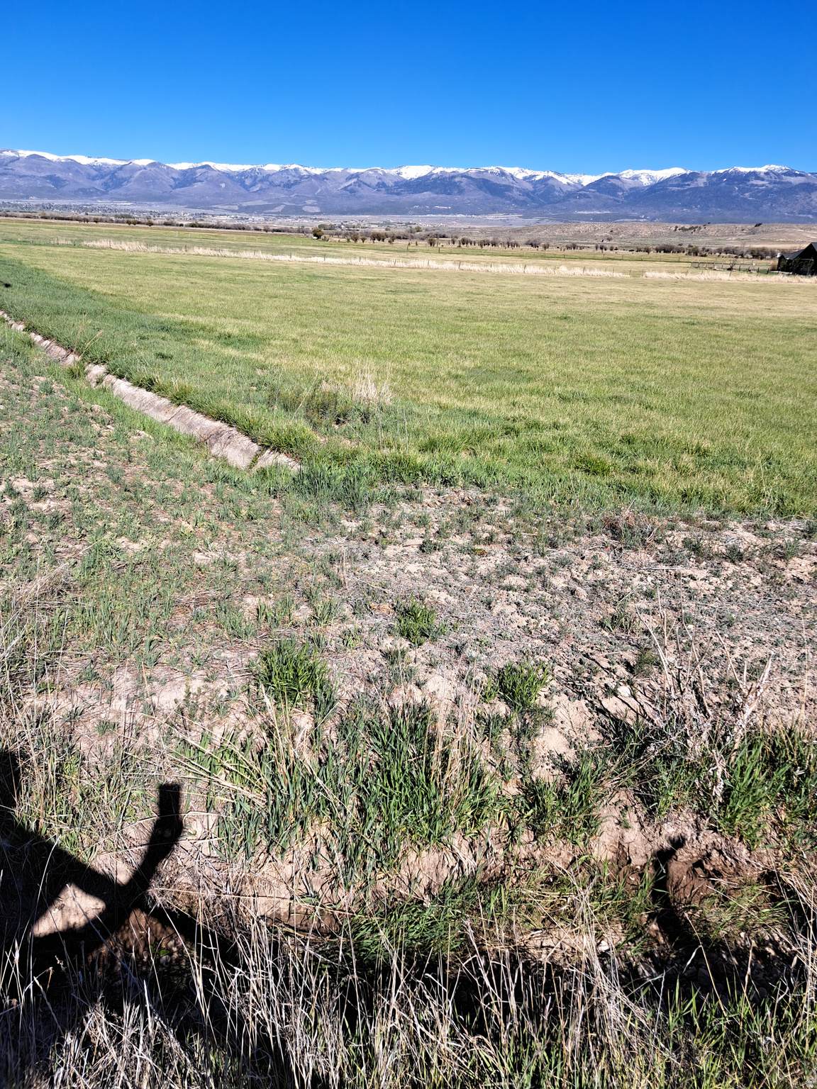 https://bt-photos.global.ssl.fastly.net/wasatch/orig_boomver_1_2156774-1.jpg