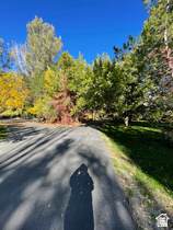 187 Waterhole Way - Photo 62