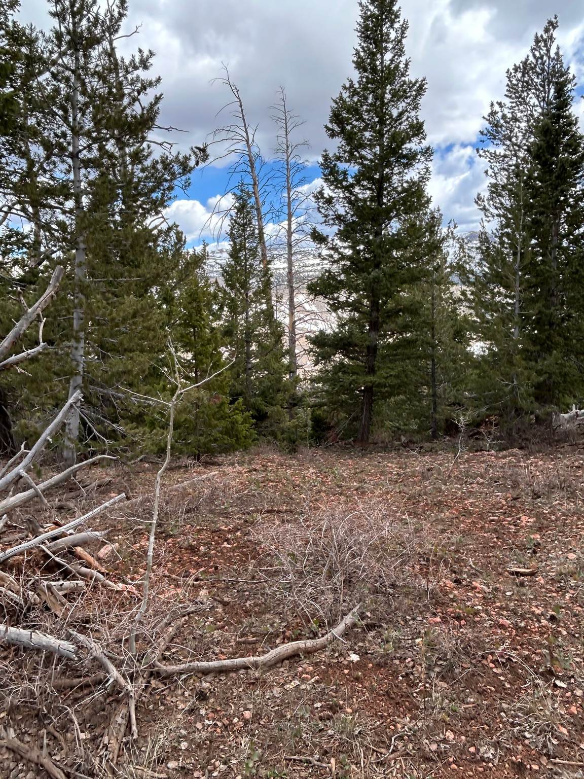 https://bt-photos.global.ssl.fastly.net/wasatch/orig_boomver_1_2159105-1.jpg
