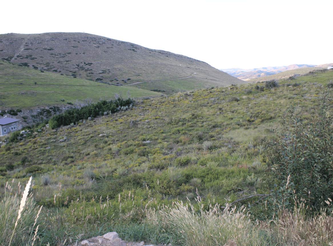 https://bt-photos.global.ssl.fastly.net/wasatch/orig_boomver_1_2160013-1.jpg