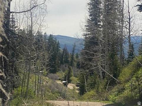 1798 Alexander Canyon Rd - Photo 1