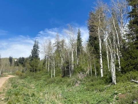 https://bt-photos.global.ssl.fastly.net/wasatch/orig_boomver_1_2160639-1.jpg