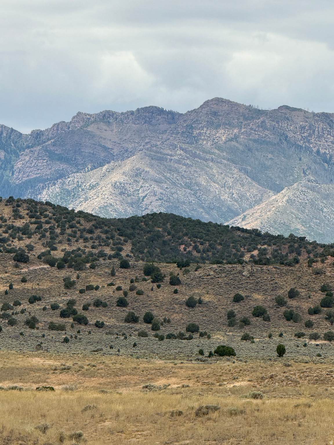 https://bt-photos.global.ssl.fastly.net/wasatch/1280_boomver_1_2160650-1.jpg