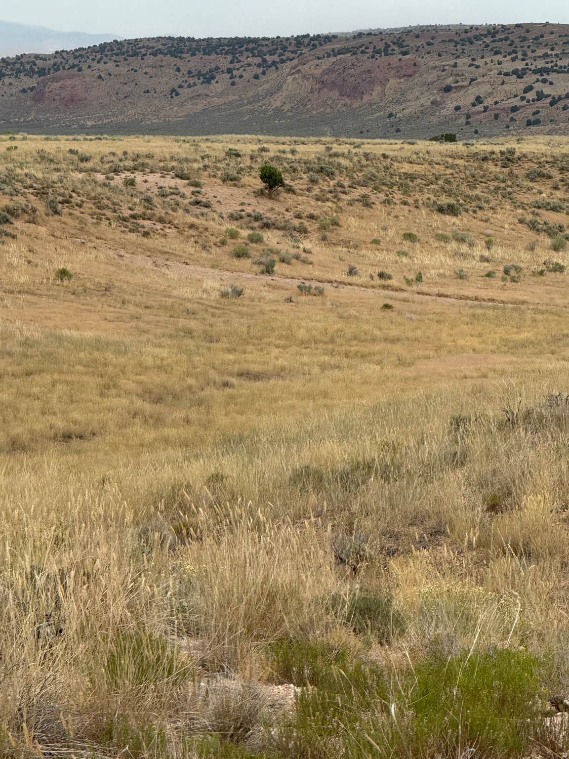 https://bt-photos.global.ssl.fastly.net/wasatch/orig_boomver_1_2160873-1.jpg