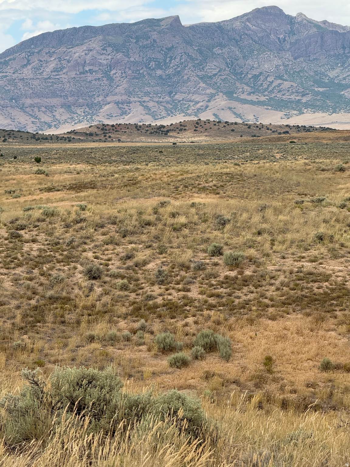 https://bt-photos.global.ssl.fastly.net/wasatch/orig_boomver_1_2160873-1.jpg