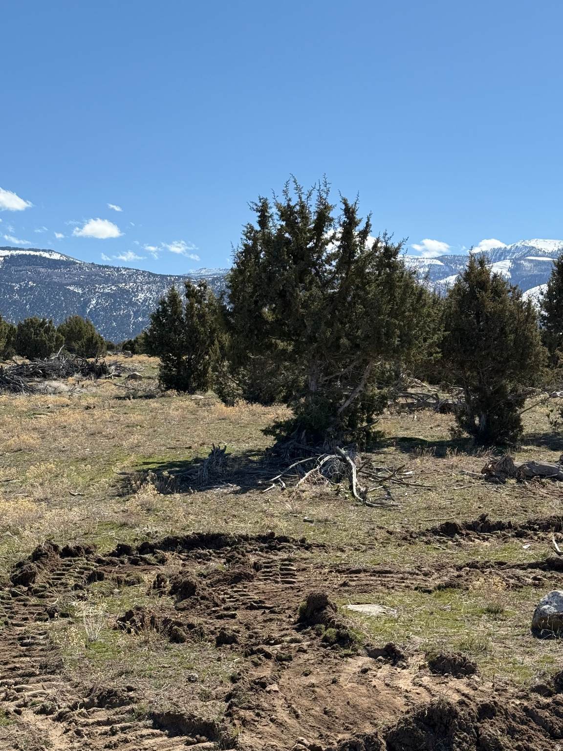 https://bt-photos.global.ssl.fastly.net/wasatch/orig_boomver_1_2160900-1.jpg