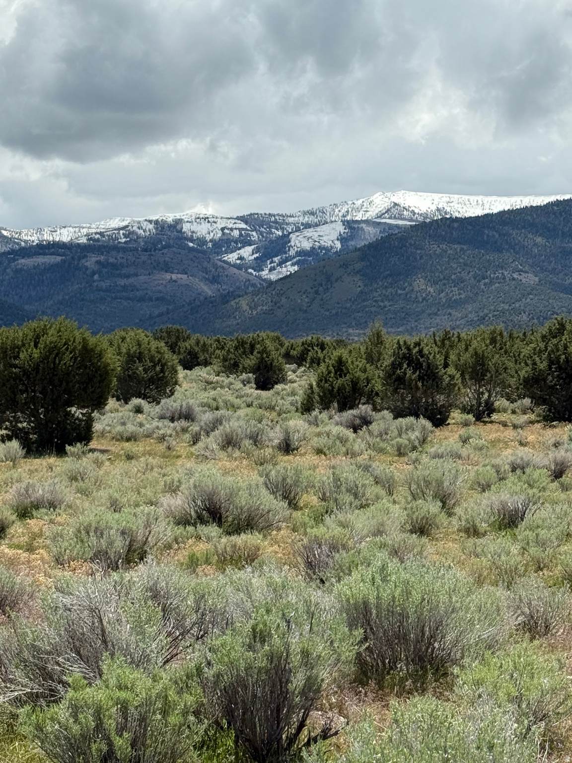 https://bt-photos.global.ssl.fastly.net/wasatch/1280_boomver_1_2160937-1.jpg