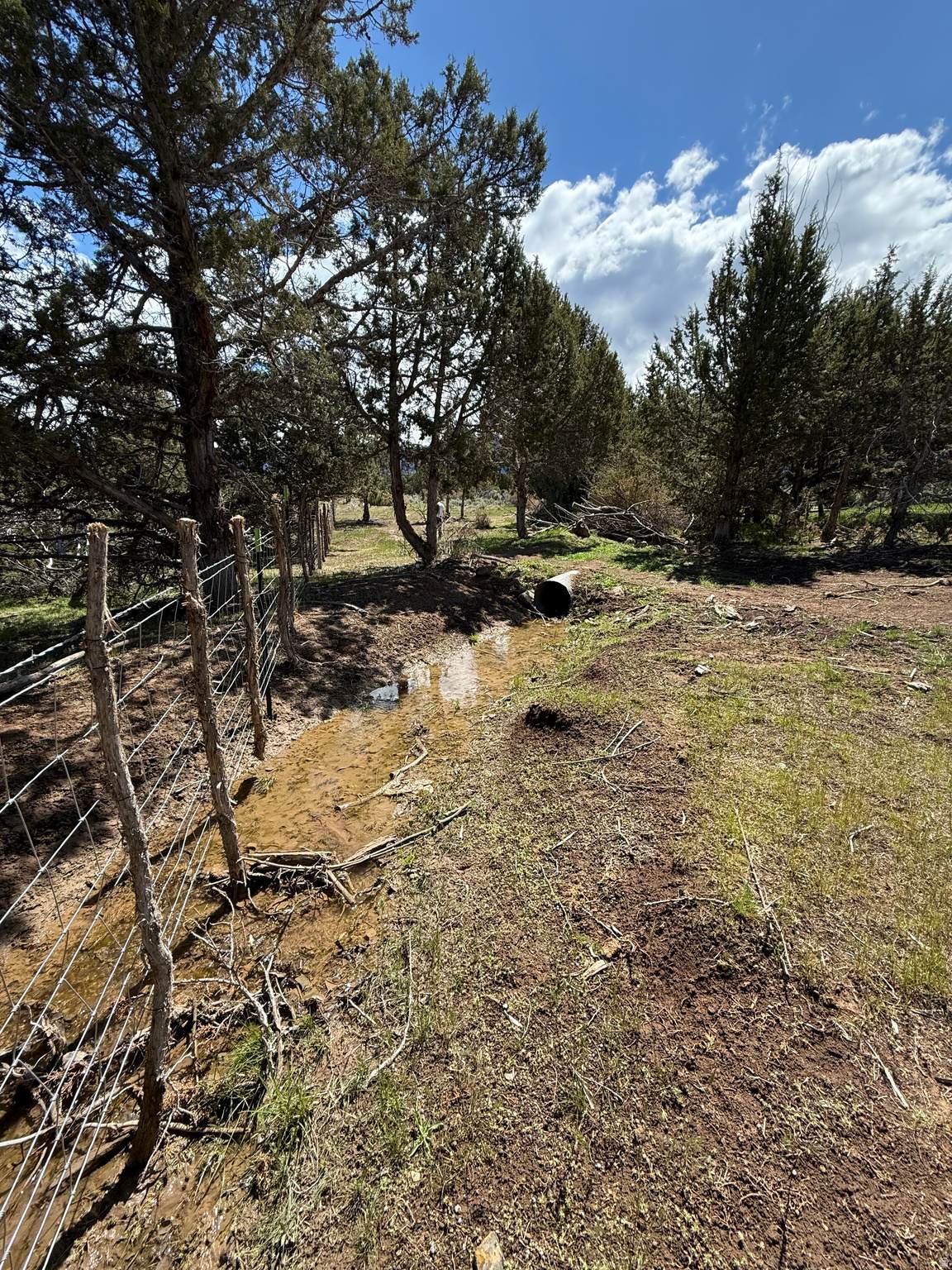 https://bt-photos.global.ssl.fastly.net/wasatch/orig_boomver_1_2160956-1.jpg
