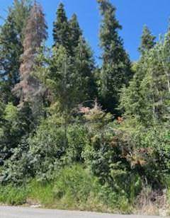 https://bt-photos.global.ssl.fastly.net/wasatch/orig_boomver_1_2162077-1.jpg