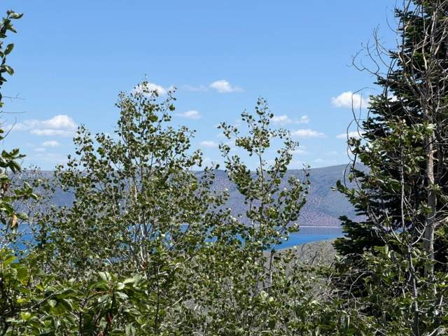https://bt-photos.global.ssl.fastly.net/wasatch/orig_boomver_1_2162958-1.jpg