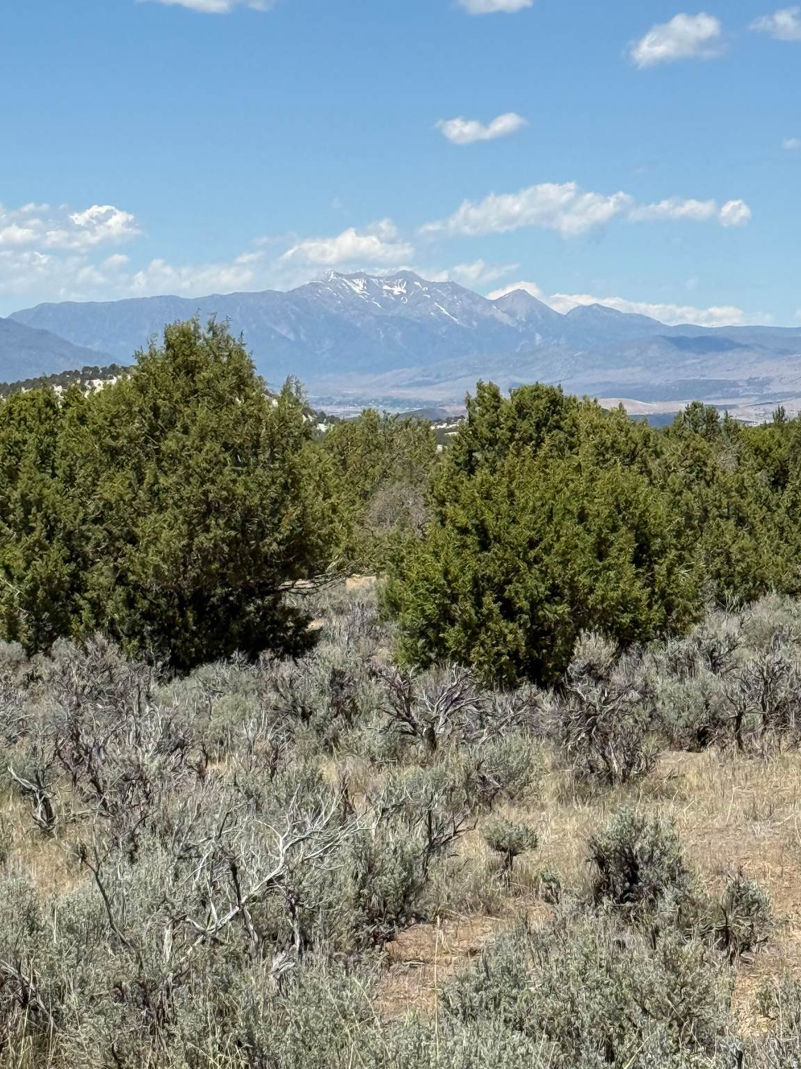 https://bt-photos.global.ssl.fastly.net/wasatch/orig_boomver_1_2163505-1.jpg