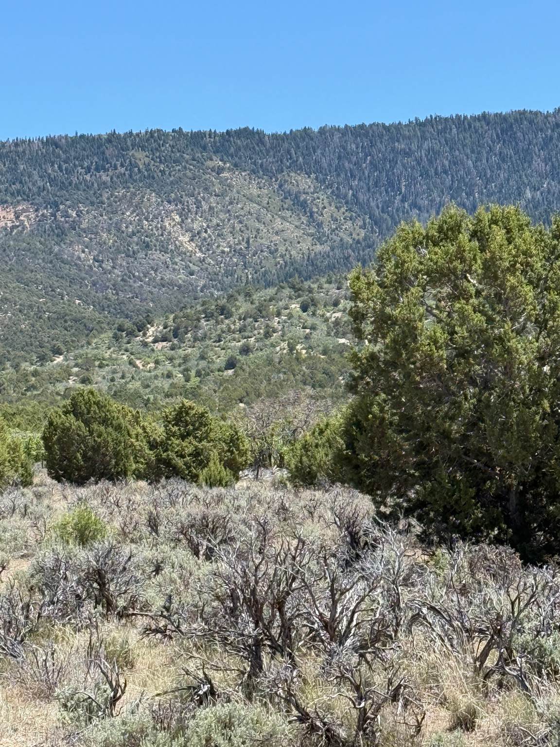 https://bt-photos.global.ssl.fastly.net/wasatch/orig_boomver_1_2163505-1.jpg