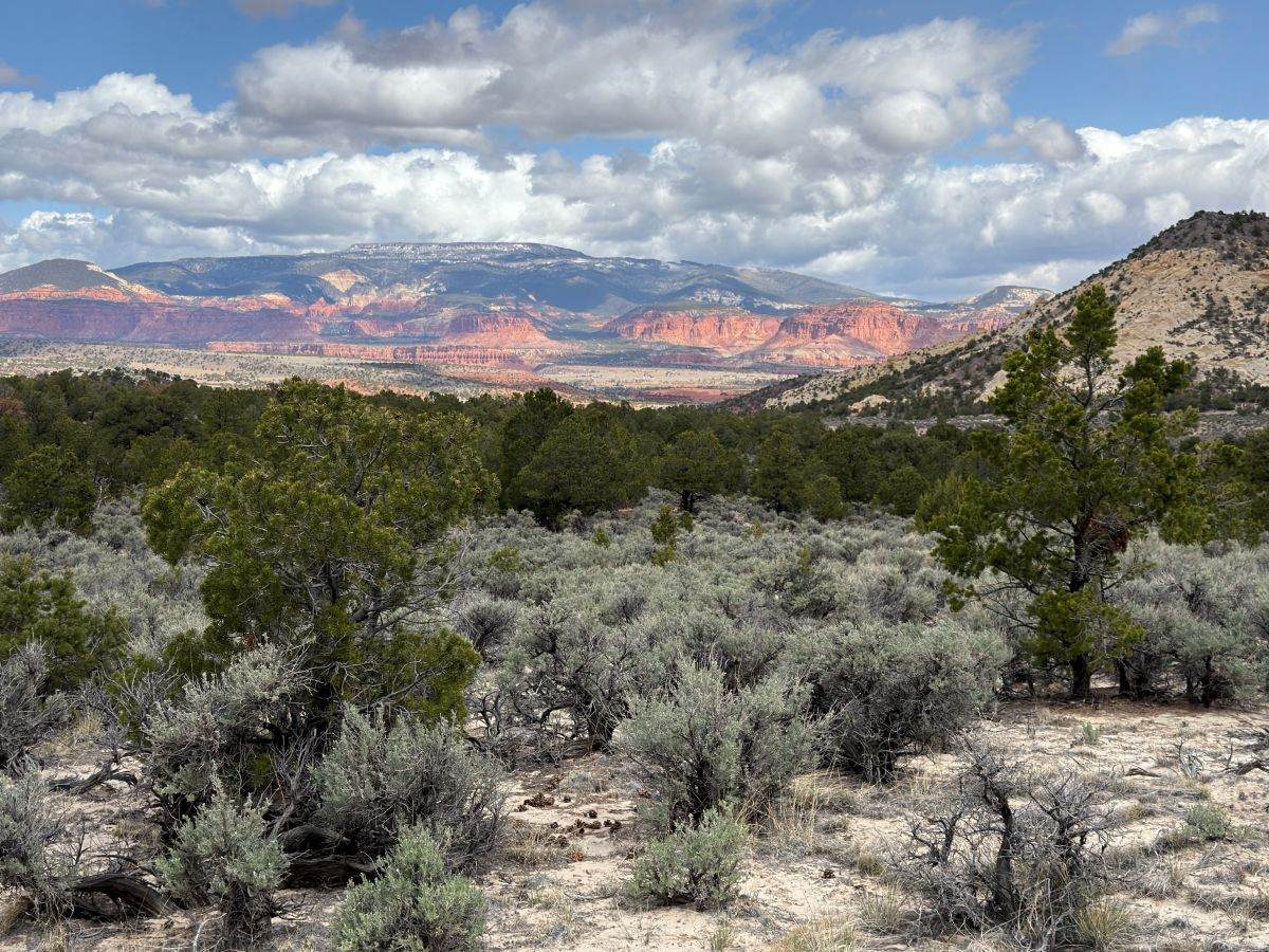 https://bt-photos.global.ssl.fastly.net/wasatch/orig_boomver_1_2164757-1.jpg