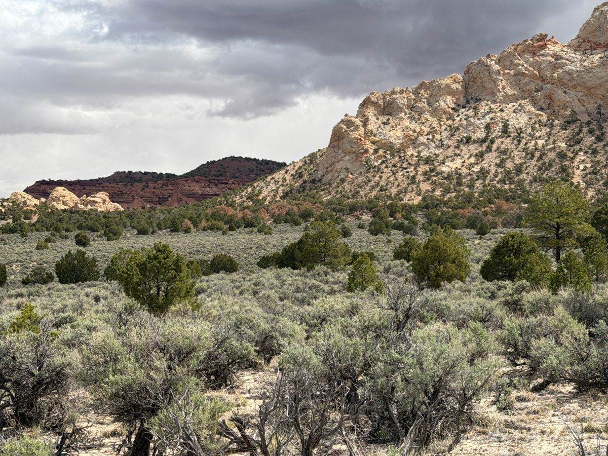 https://bt-photos.global.ssl.fastly.net/wasatch/orig_boomver_1_2164757-1.jpg