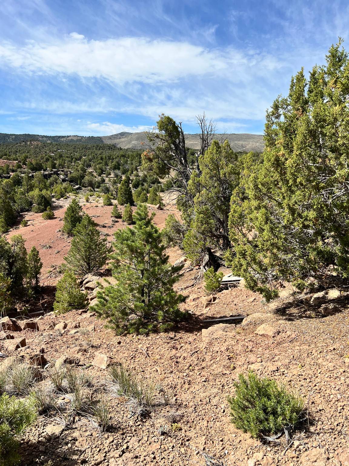 https://bt-photos.global.ssl.fastly.net/wasatch/orig_boomver_1_2165833-1.jpg