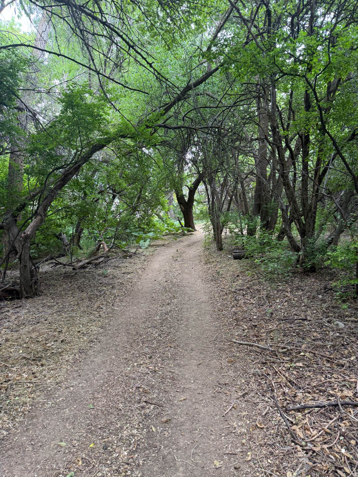 https://bt-photos.global.ssl.fastly.net/wasatch/orig_boomver_1_2166972-1.jpg
