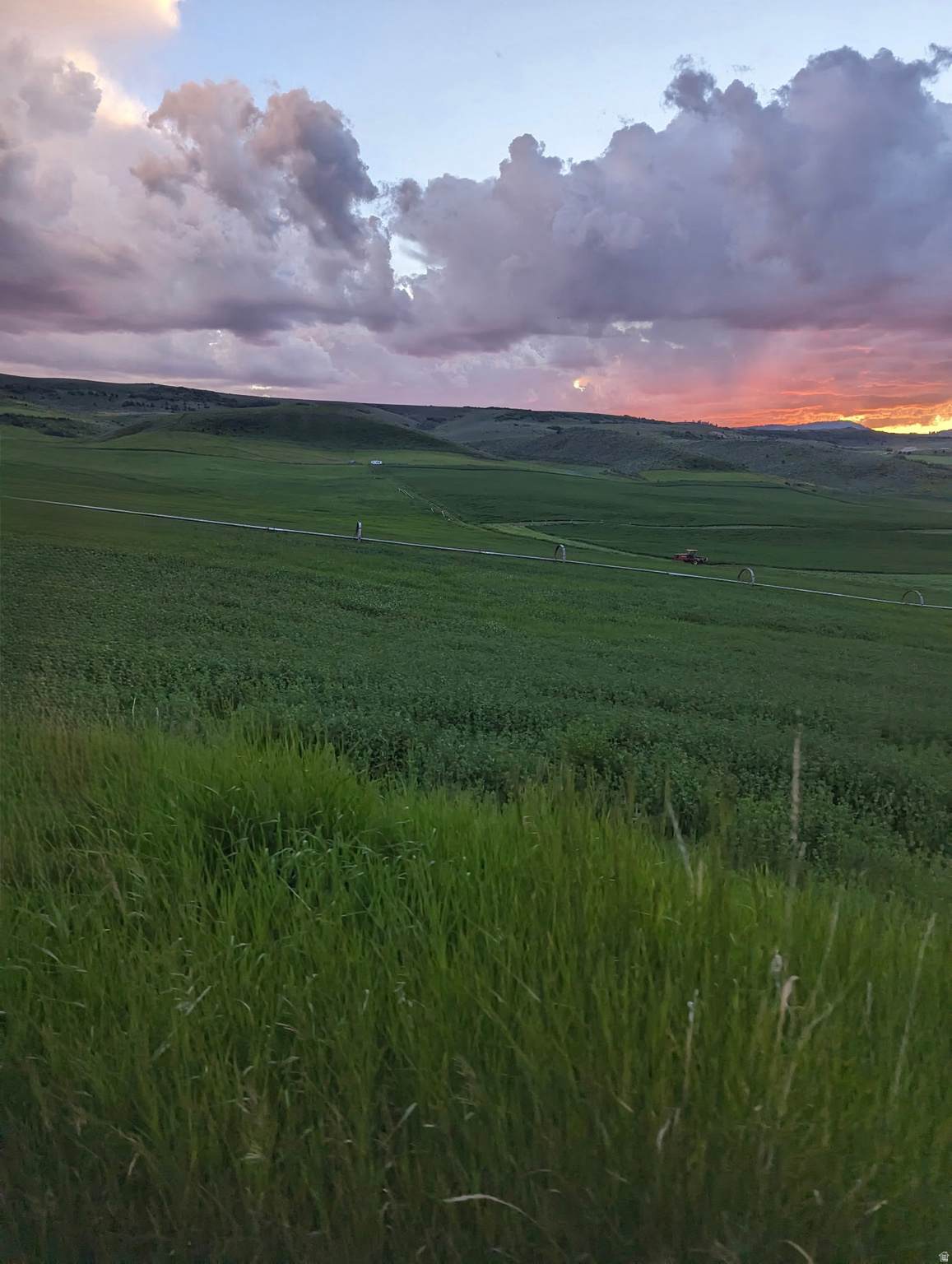 https://bt-photos.global.ssl.fastly.net/wasatch/1280_boomver_1_2168921-1.jpg
