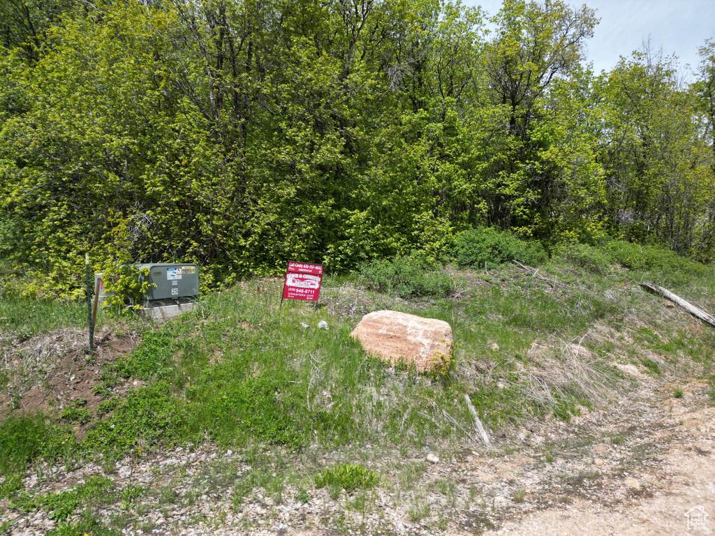 980 Broad Hollow Cir - Photo 1