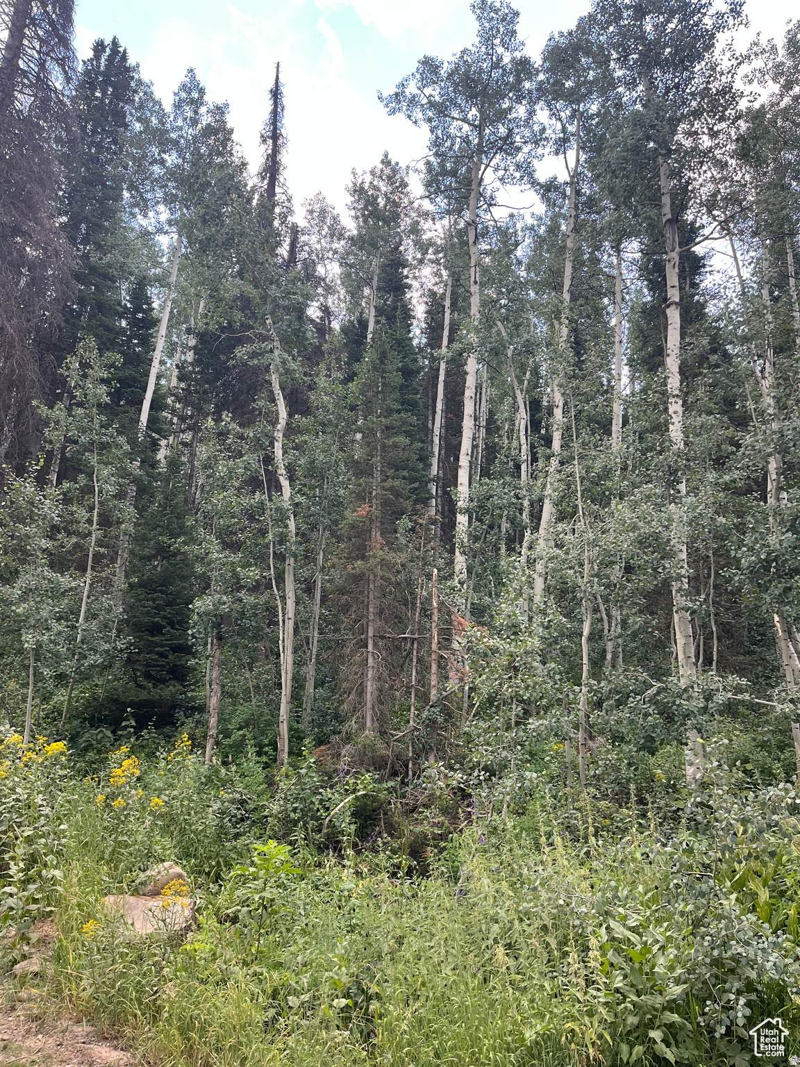 https://bt-photos.global.ssl.fastly.net/wasatch/orig_boomver_1_2169953-1.jpg