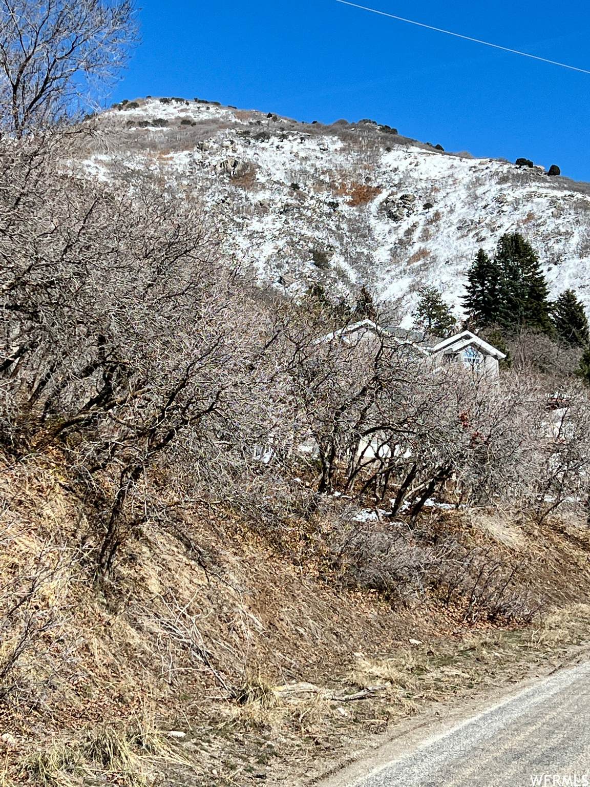 https://bt-photos.global.ssl.fastly.net/wasatch/orig_boomver_1_2171624-1.jpg