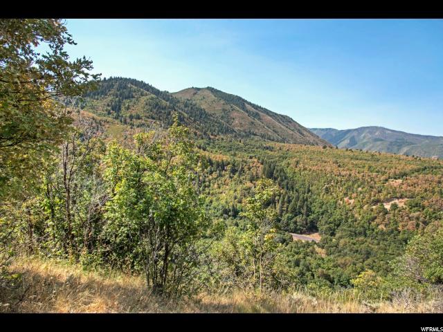 1280 Eagle Nest Dr - Photo 1