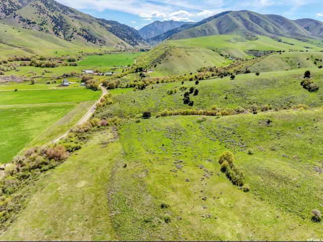 1446 Canyon Rd - Photo 1