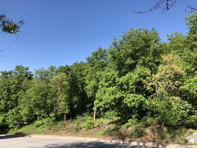 2905 Cave Hollow Way - Photo 1