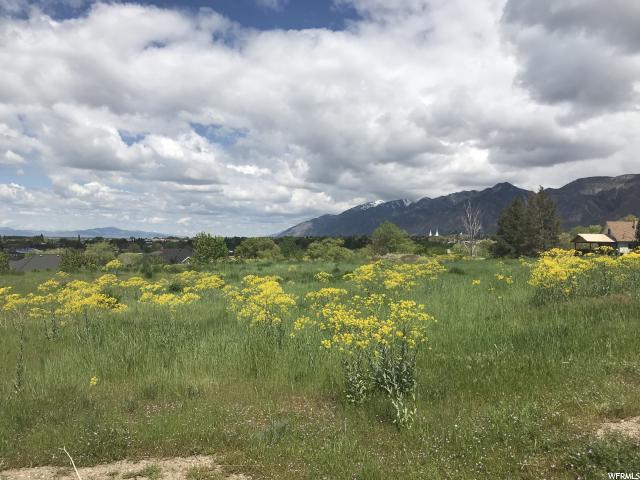 1540 Highway 89 - Photo 1
