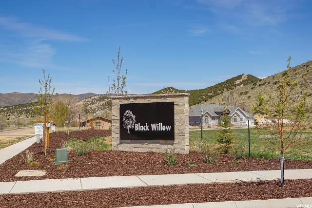 12 Black Willow Dr. - Photo 1