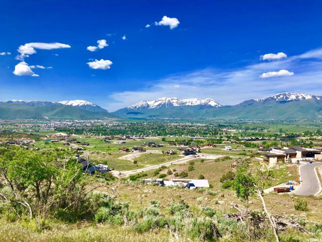 1417 Gold Mountain Cir (Lot 467) - Photo 1