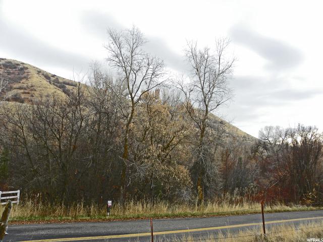 1481 Canyon Rd - Photo 1