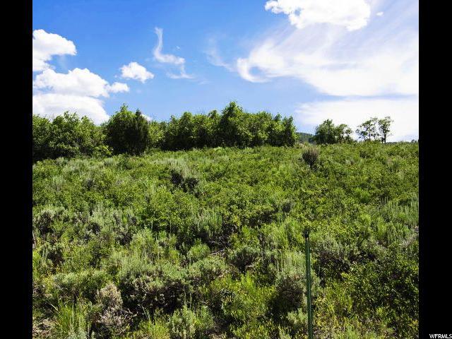 8423 Lake Pines Dr Dr - Photo 1